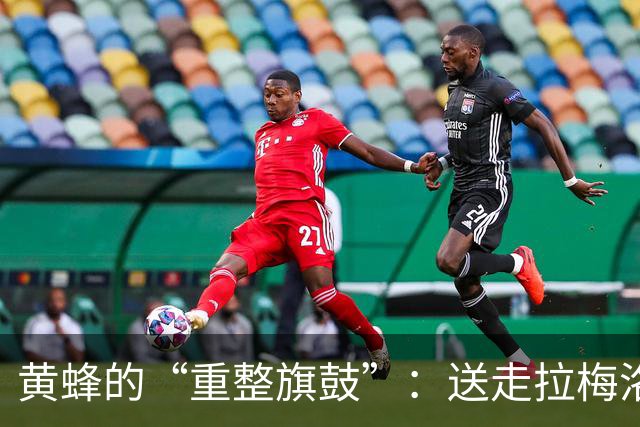 黄蜂的“重整旗鼓”：送走拉梅洛，选秀权如雨后春笋